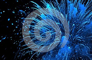 blue firework explosion on black background
