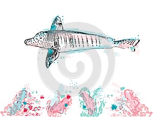 Blue fish and corals watercolor vector isolated red sea underwater species illustrations