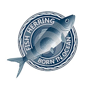 Blue fish herring