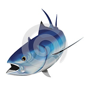 Blue fish illustration