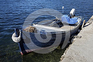 blue fishing boat over dark water and aquatic plants. Ston, Croatia