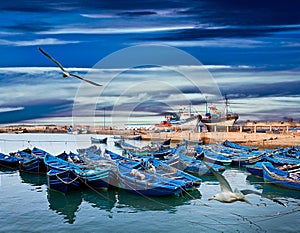 Blue fishing boats on an ocean