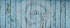 Blue flaky paint on a old weathered wooden fence. Vintage wood background. Peeling paint flakes. Old weathered wooden