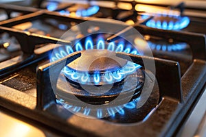 Blue flame brilliance Gas stove burner showcases controlled combustion