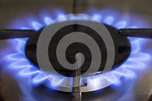 Blue flame of a domestic stove.