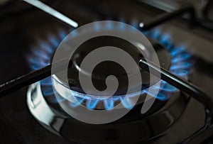 Blue flame of gas stove