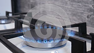 Blue flame of natural gas is burning on the gas stove. natural gas fuel or energy source, cooking, heating, electricity