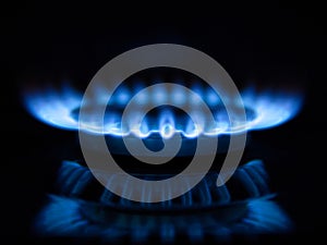 The blue flames of a gas burner on a domestic cooking hob, against a black background.