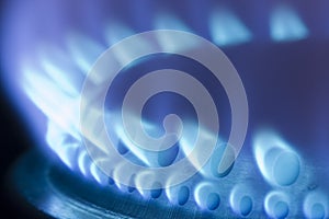Blue flames of a gas stove photo