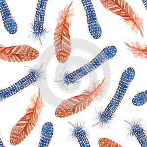 Blue flight feathers of Helmeted Guinea fowl and orange feathers with white spots. Watercolor seamless pattern.