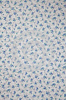 Blue flower fabric background texture