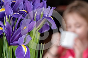 Blue flower irises- nature spring sunny background. Soft focus with bokeh