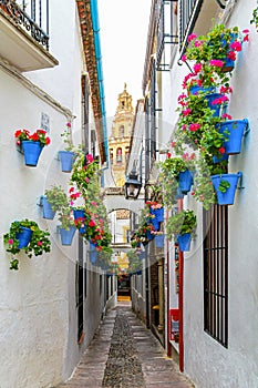 Blue flower pots on on Calleja de las Flores in the old Jewish quarter overlooking the Mezquita of Cordoba photo