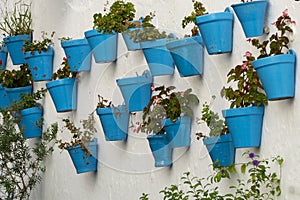 Blue flower pots on a white wall. Mijas Andalusia, Spain.