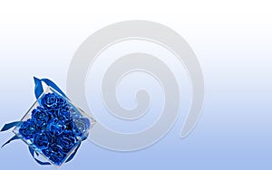 Blue flower on white - blue background