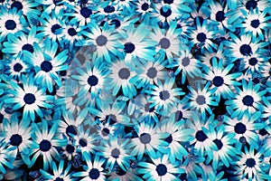 Blue flowers background