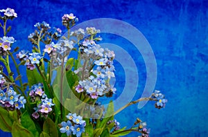 Blue flowers on blue background