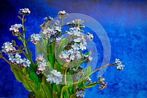 Blue flowers on blue background
