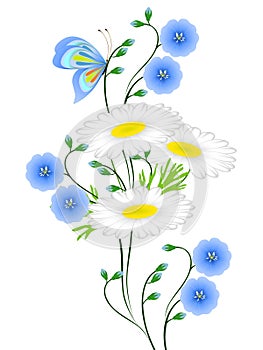 Blue flowers of flax and daisies with butterfly on white background.