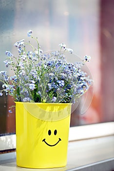 Modrý kvety (zabudnúť ma nie) 