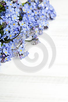 Blue flowers frame on white wooden background