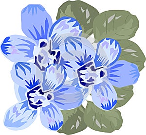 Blue flowers with leaves are very delicate like forget-me-nots, vector drawing