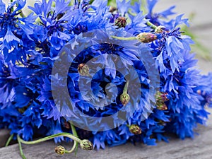 Blue cornflower flowers, summer wildflowers bouquet on gray wooden background, copy space