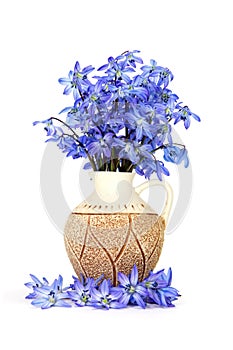 Blue flowers in the vase