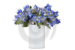 Blue flowers in vase isolated on white