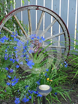 Blue Flowers & Wagon Wheel