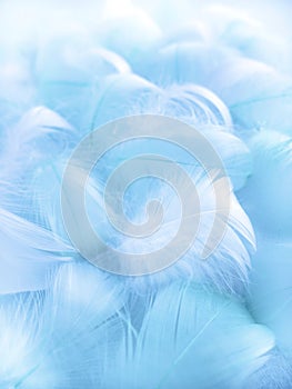 Blue fluffy bird feathers. Beautiful fog. A message to the angel. The texture of delicate feathers soft focus