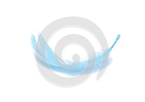Blue fluffy feather soft isolated on the white studio background