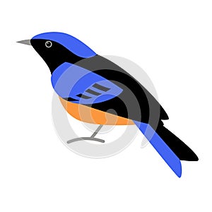Blue flycatcher bird, vector illustratio, flat style, side