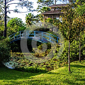 Blue footbridge over a quaint lily pond at the historical Houmas House Plantation & Gardens in Burnside, Louisiana