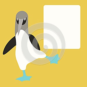 Blue footed booby vector illustration flat style front