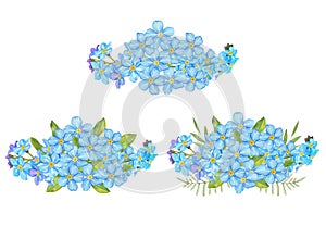 Blue Forget me not flower on white background