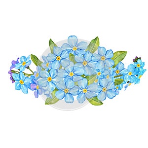 Blue Forget me not flower on white background. Decorative element for a greeting card. Watercolor flowers