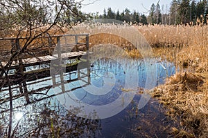 Blue fount in the swamp, tourist attraction osterseen photo