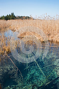 Blue fount in the swamp, tourist attraction osterseen photo