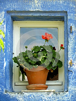 Blue framed window close up