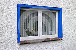 Blue framed window with curtains and a vase with yellow roses behind the glass