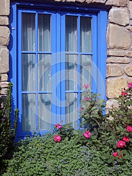 Blue Framed window with flowers