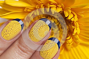 Blue French manicure with yellow craquelure nail Polish close-up