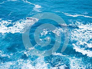 Blue frothy surface of sea water from above