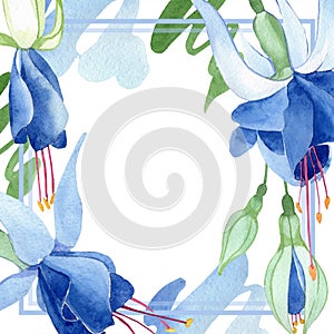 Blue fuchsia. Floral botanical flower. Watercolour drawing fashion aquarelle isolated. Frame border ornament square.