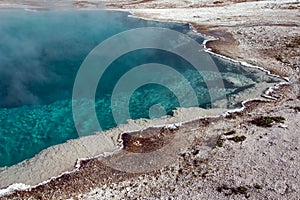 Blue Funnel Spring