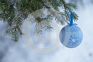 blue fur-tree toy on a branch of blue fir-tree blue, green, white, Colorado blue spruce, Picea pungens covered with hoarfrost. New