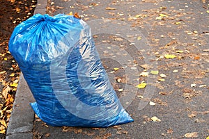 Blue  garbage bag with leaves on the ground