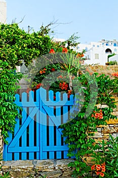 Blue garden gate