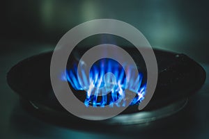 Blue gas flames on gas stove for cooking food.